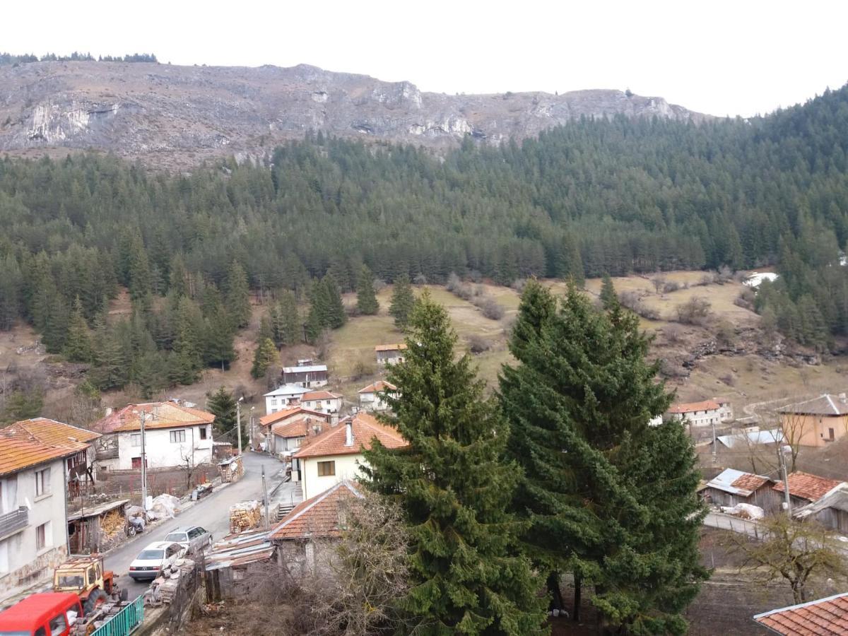 Къща За Гости Камината Trigrad Exterior foto