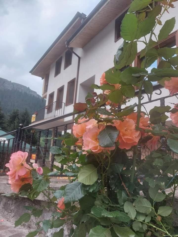 Къща За Гости Камината Trigrad Exterior foto